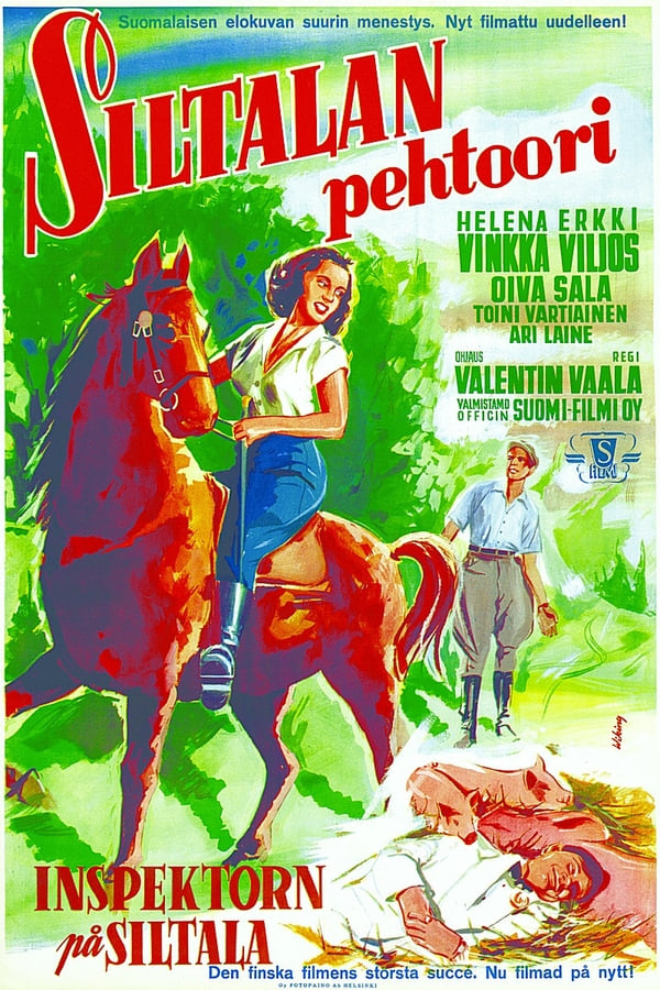 Cover of the movie The Foreman at Siltala