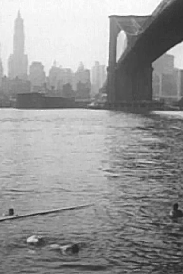 Cover of the movie Under The Brooklyn Bridge
