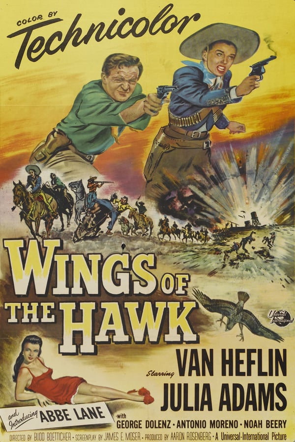 Cover of the movie Wings of the Hawk