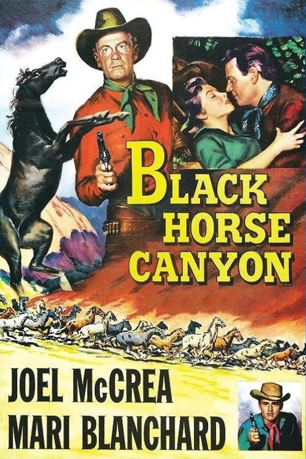 Cover of the movie Black Horse Canyon