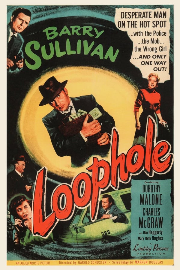 Cover of the movie Loophole