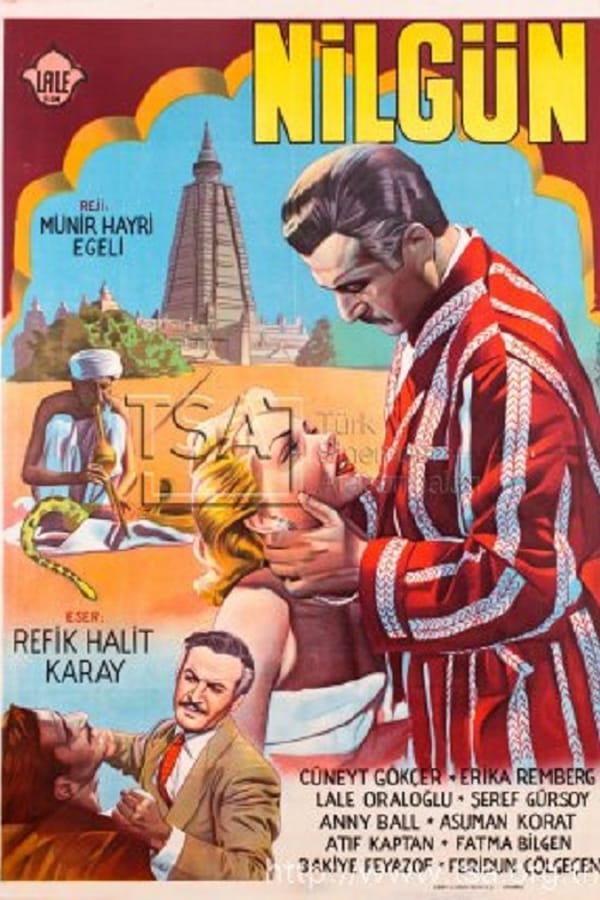 Cover of the movie Nilgün