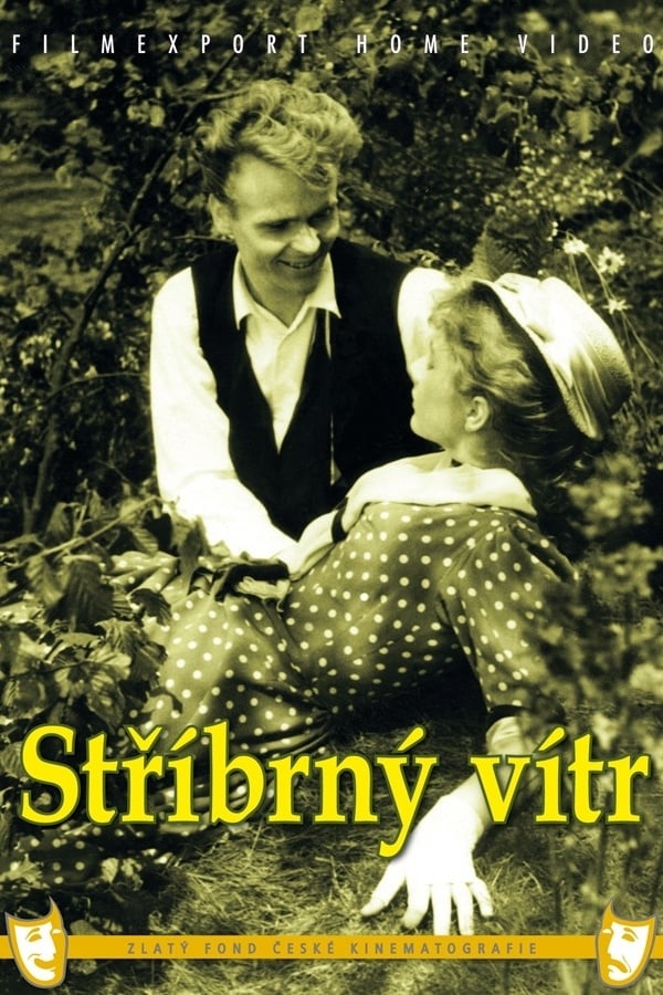 Cover of the movie Silvery Wind