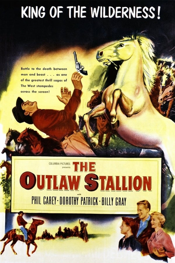 Cover of the movie The Outlaw Stallion