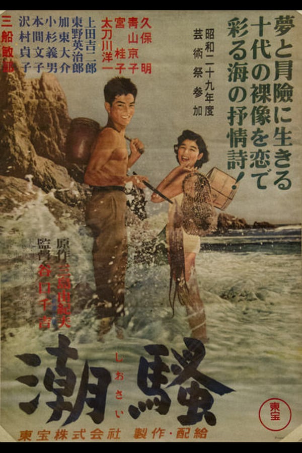 Cover of the movie The Surf