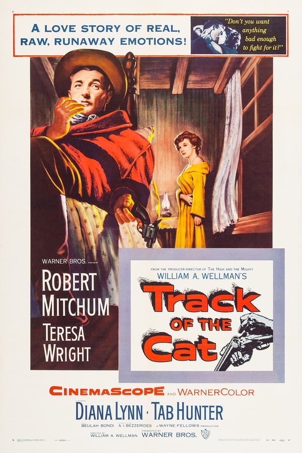Cover of the movie Track of the Cat