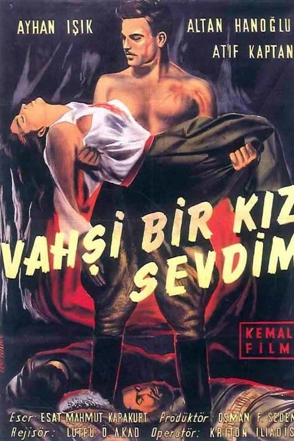 Cover of the movie Vahşi Bir Kız Sevdim