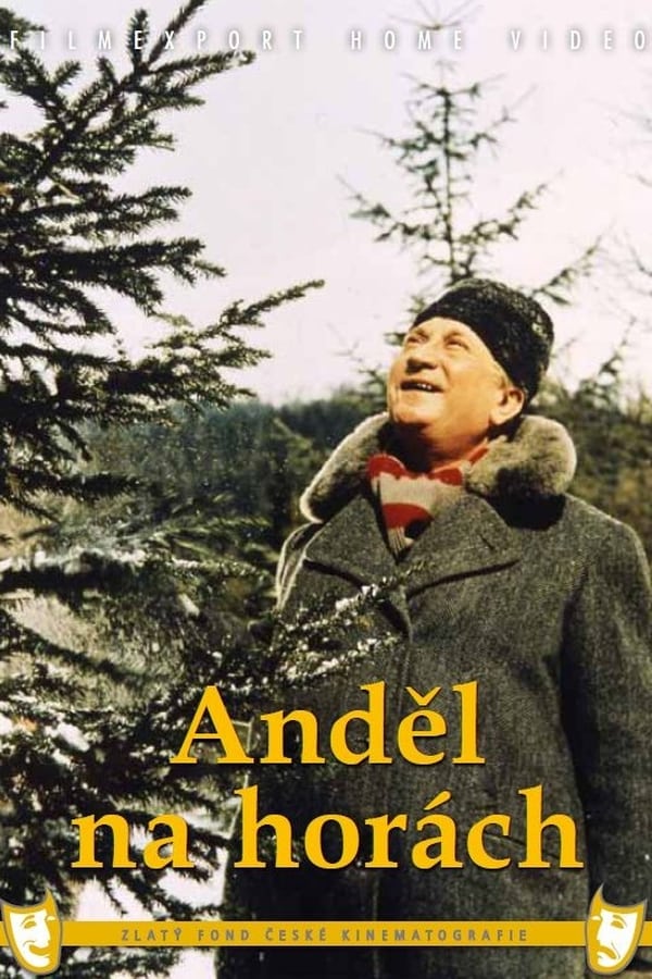 Cover of the movie Angel in the Mountains