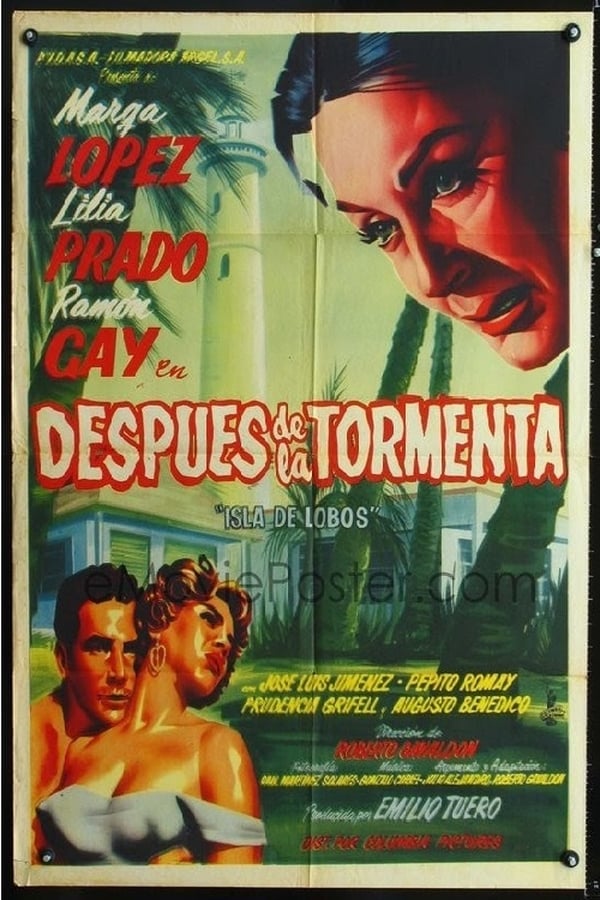 Cover of the movie Después de la tormenta