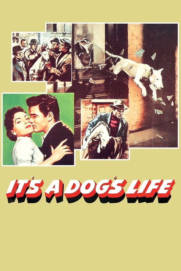 Cover of the movie It's a Dog's Life