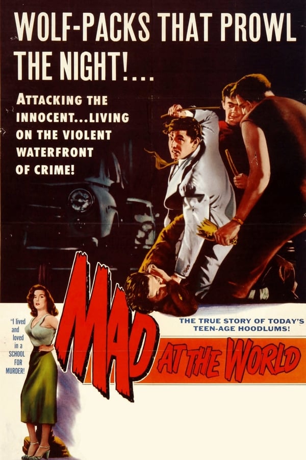 Cover of the movie Mad at the World