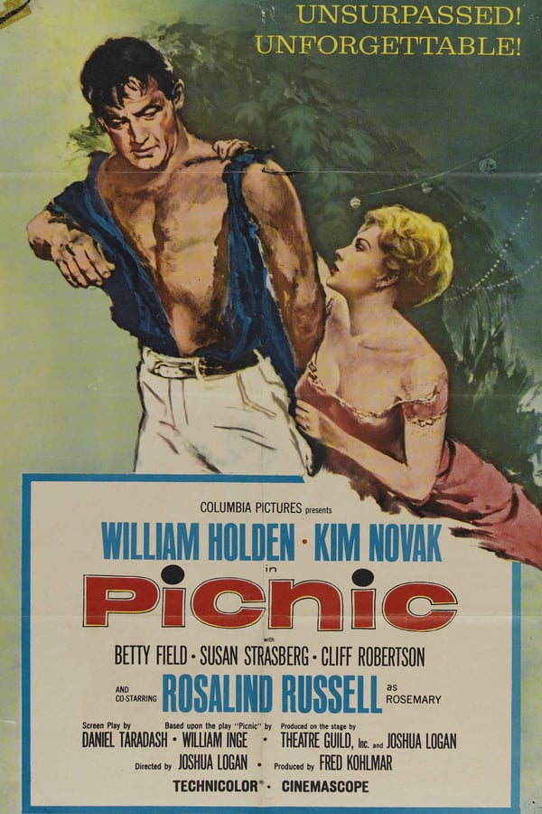Cover of the movie Picnic