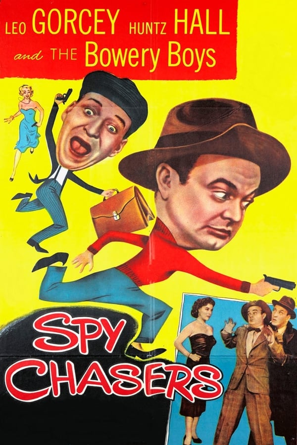 Cover of the movie Spy Chasers