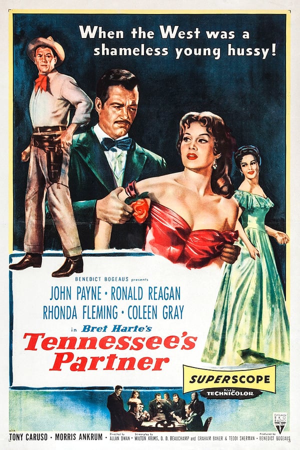 Cover of the movie Tennessee's Partner