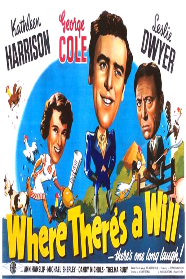 Cover of the movie Where There's a Will