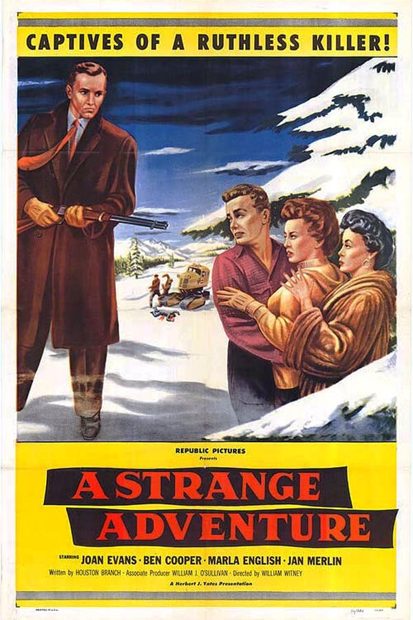 Cover of the movie A Strange Adventure