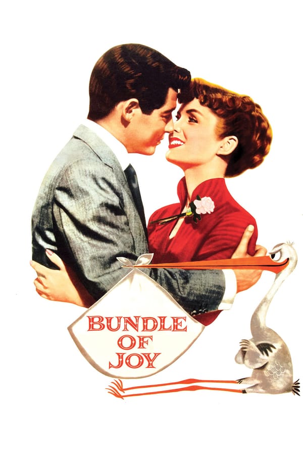 Cover of the movie Bundle of Joy
