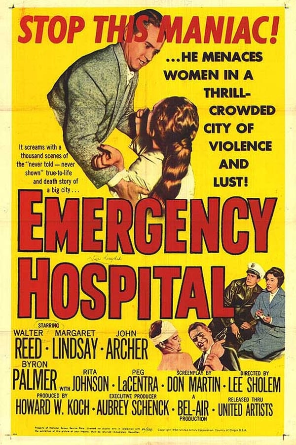 Cover of the movie Emergency Room