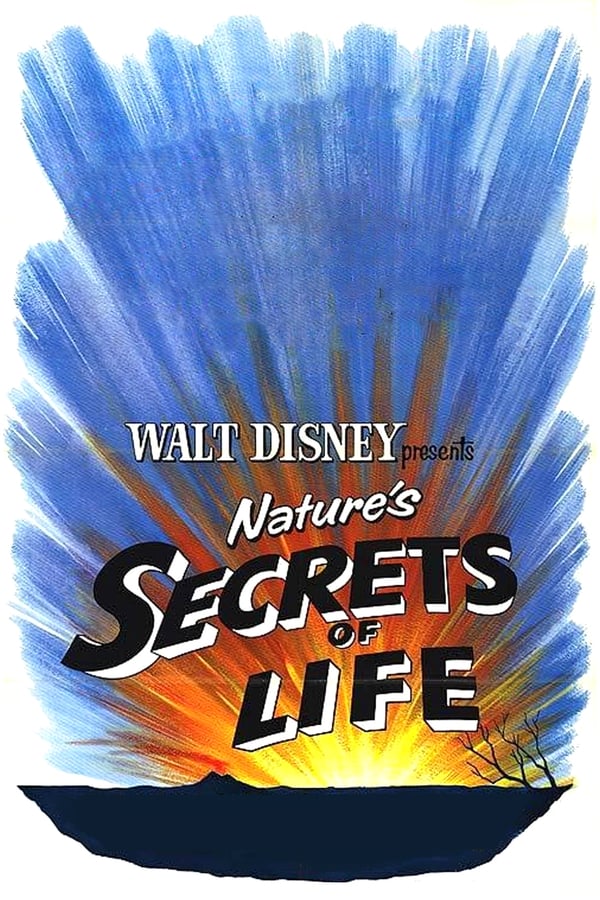 Cover of the movie Secrets of Life