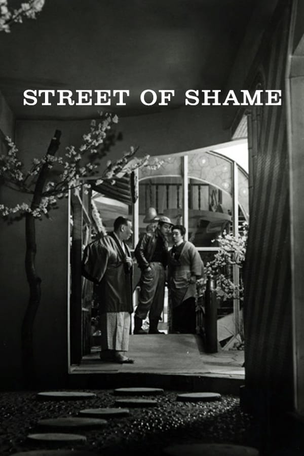 Cover of the movie Street of Shame