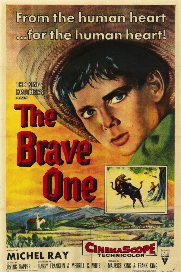 Cover of the movie The Brave One