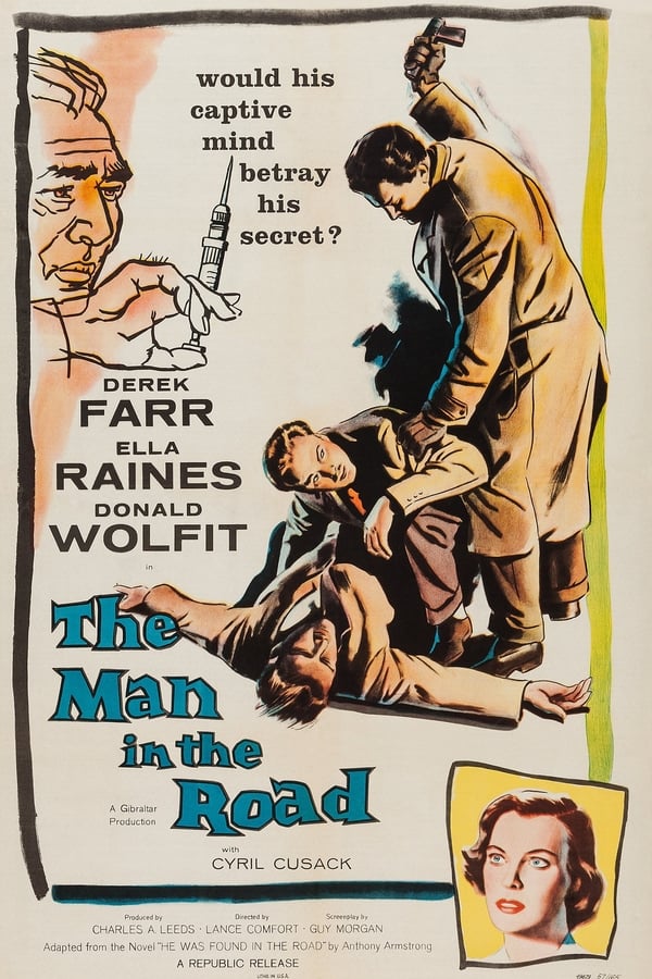 Cover of the movie The Man in the Road