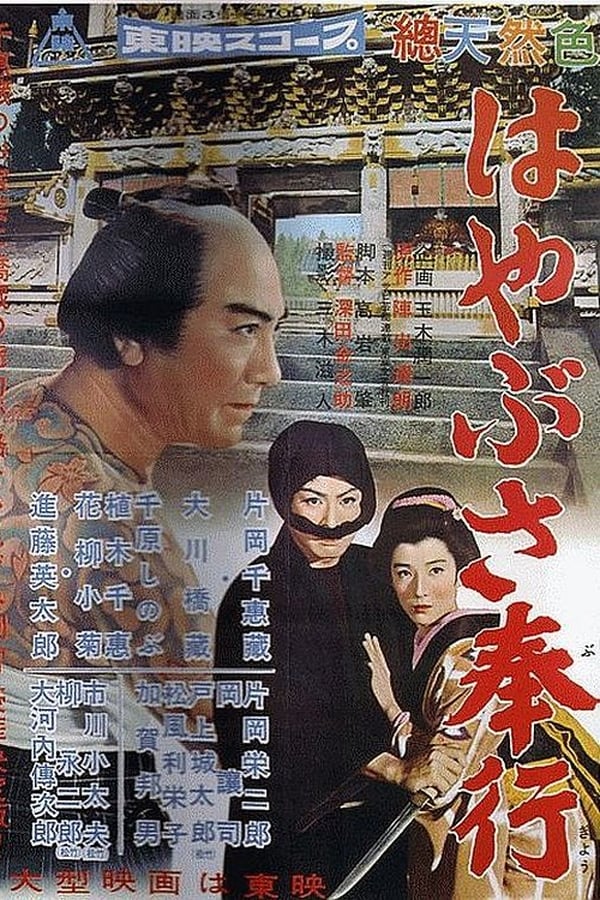 Cover of the movie Falcon Magistrate