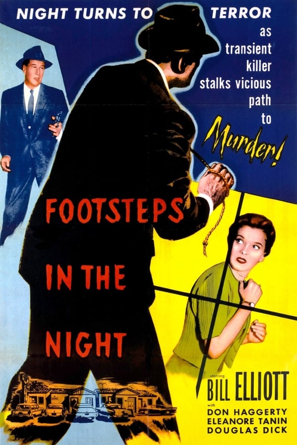 Cover of the movie Footsteps in the Night