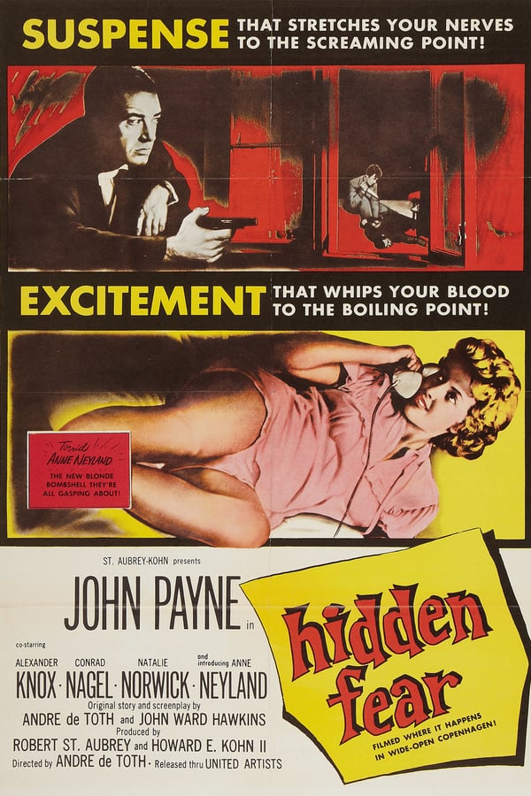 Cover of the movie Hidden Fear