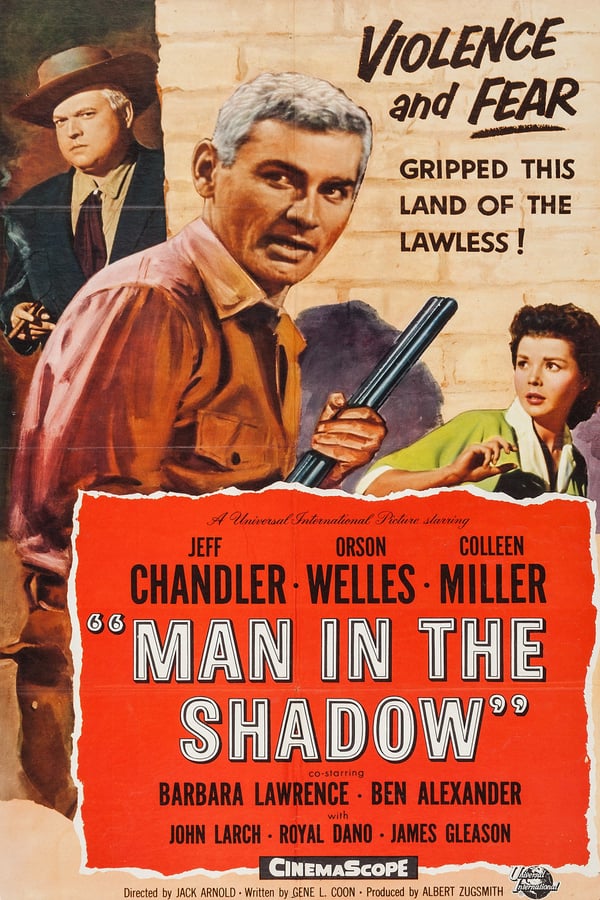 Cover of the movie Man in the Shadow