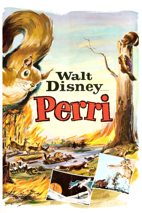 Cover of the movie Perri