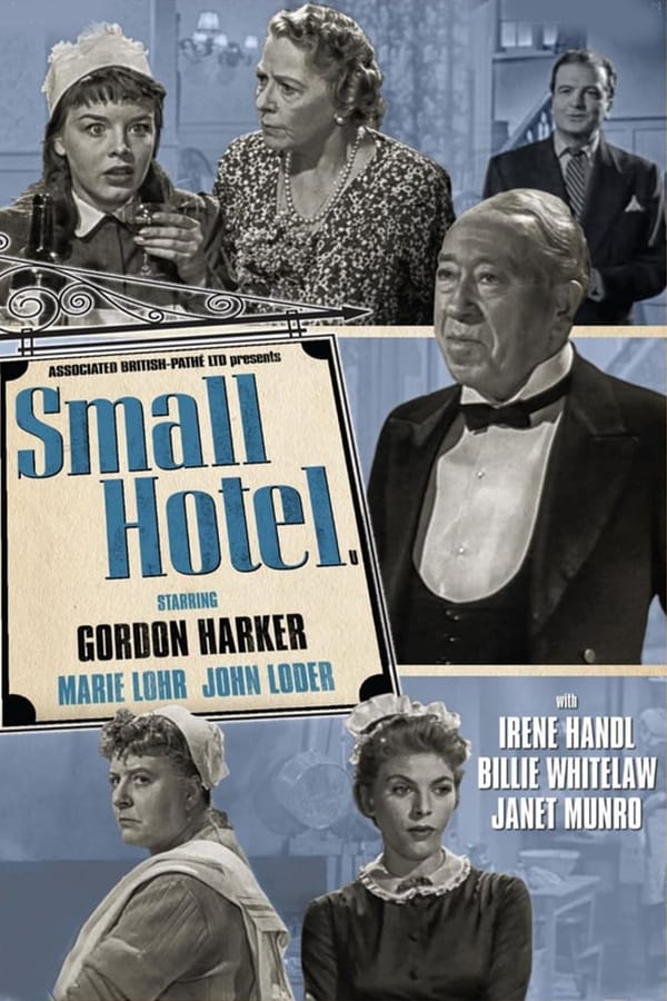 Cover of the movie Small Hotel