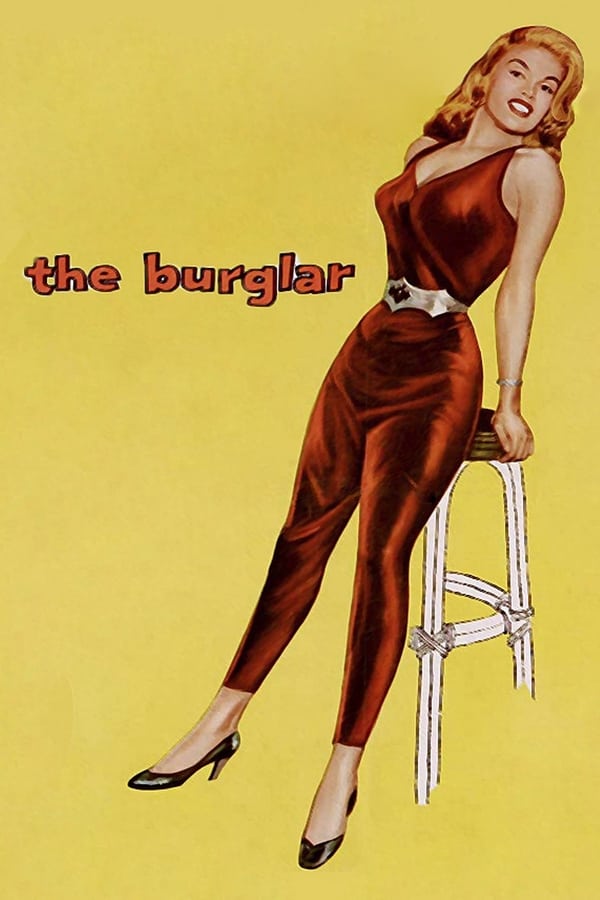 Cover of the movie The Burglar