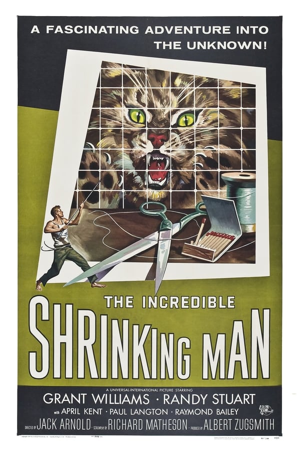 Cover of the movie The Incredible Shrinking Man