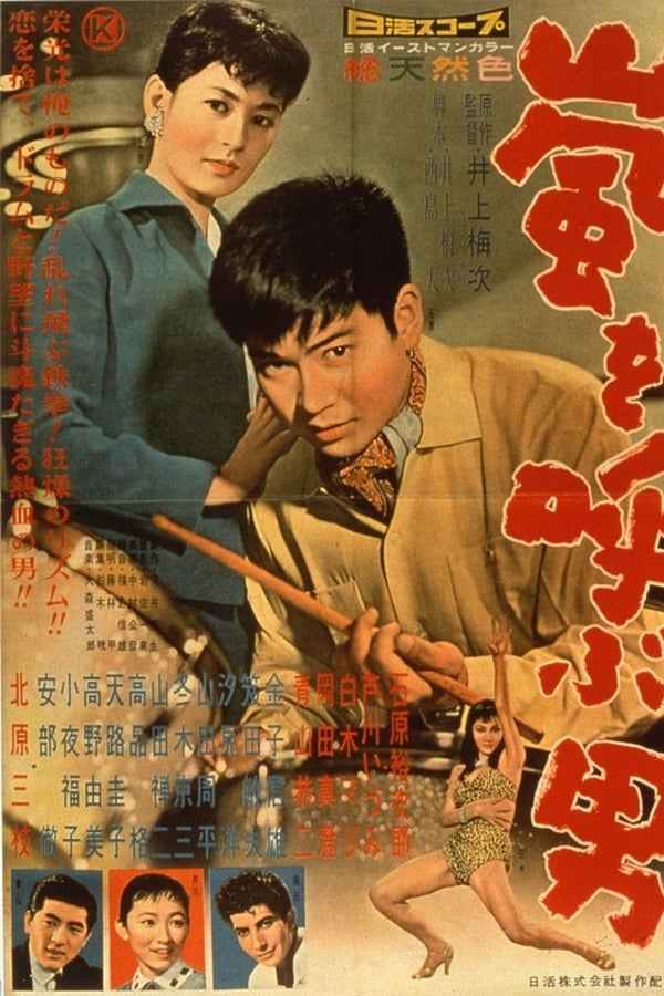 Cover of the movie The Stormy Man