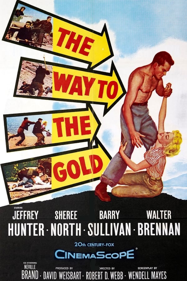 Cover of the movie The Way to the Gold