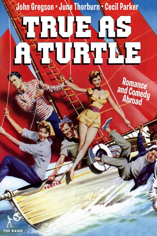 Cover of the movie True as a Turtle