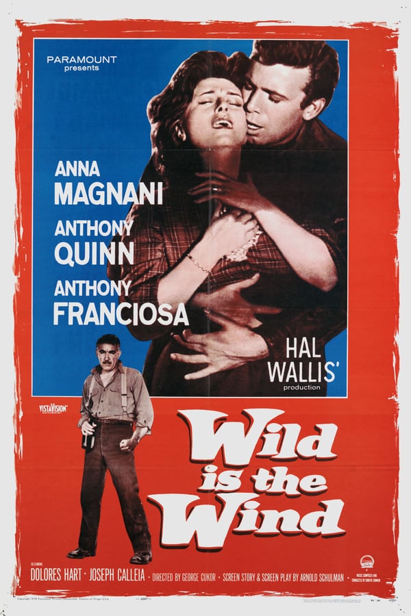 Cover of the movie Wild Is the Wind