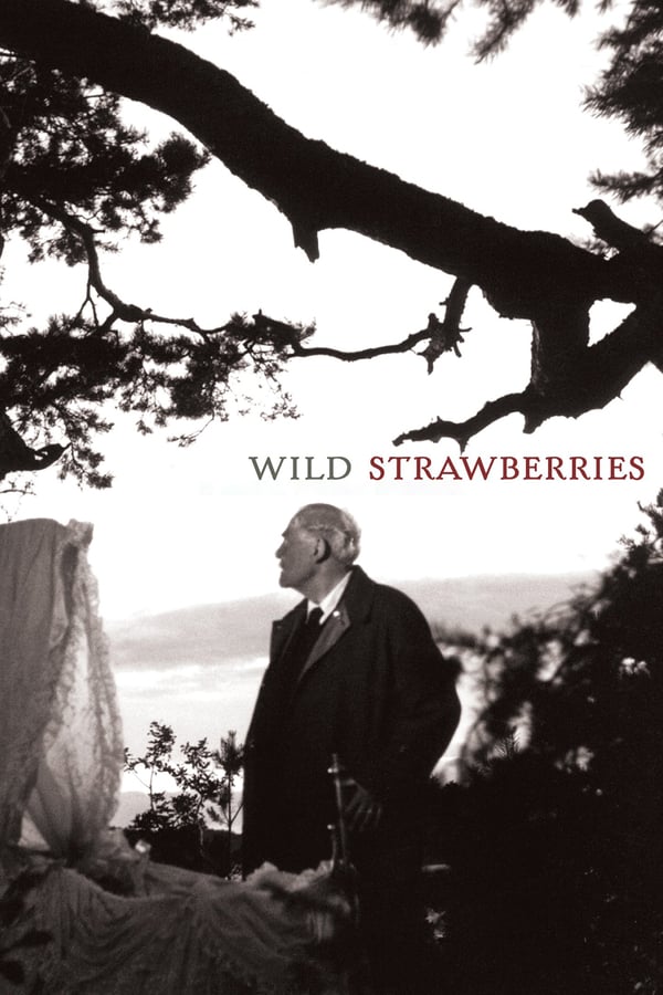 Cover of the movie Wild Strawberries