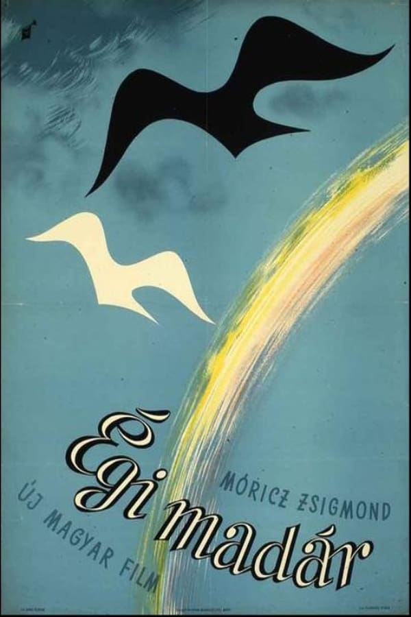 Cover of the movie A Bird of Heaven
