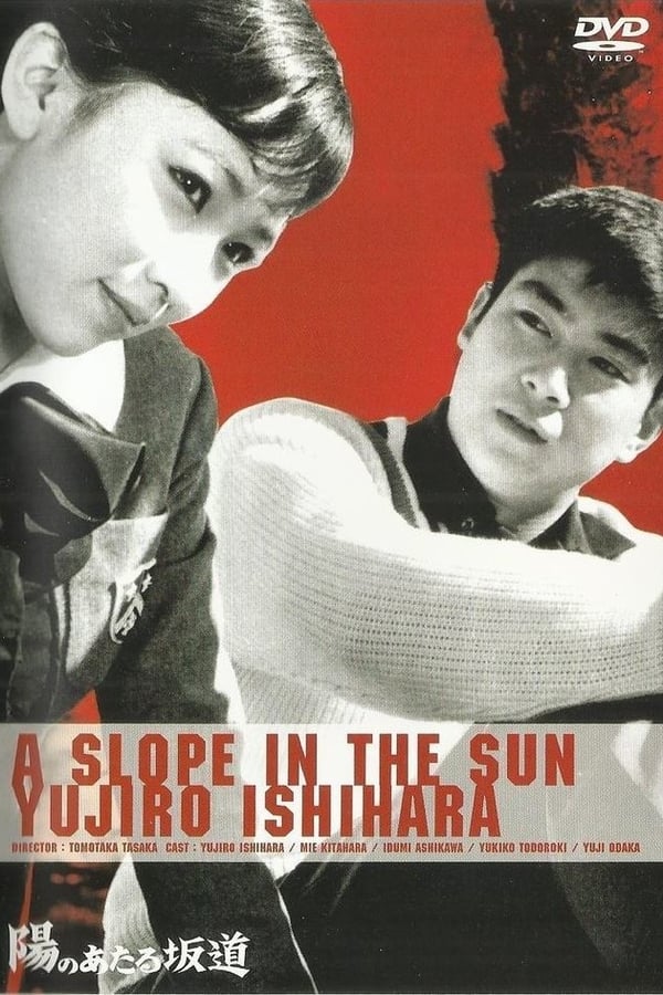 Cover of the movie A Slope in the Sun