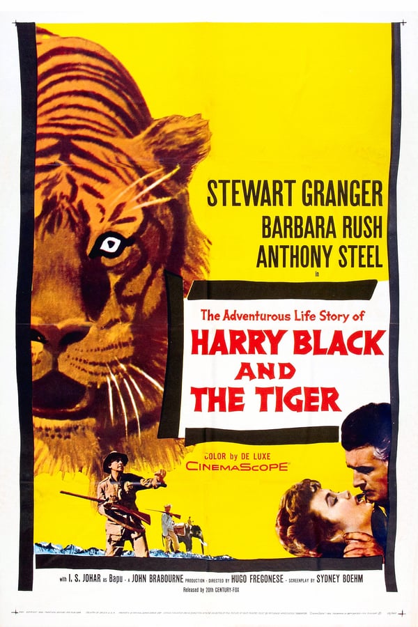 Cover of the movie Harry Black