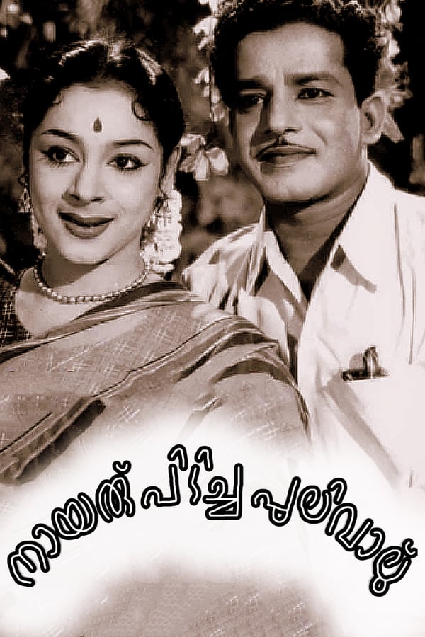 Cover of the movie Nairu Pidicha Pulivalu