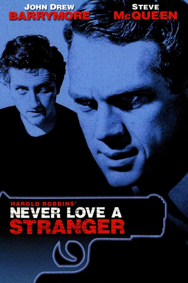 Cover of the movie Never Love a Stranger