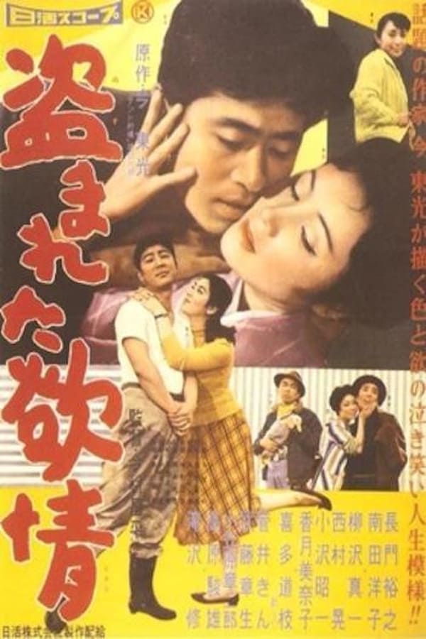 Cover of the movie Stolen Desire
