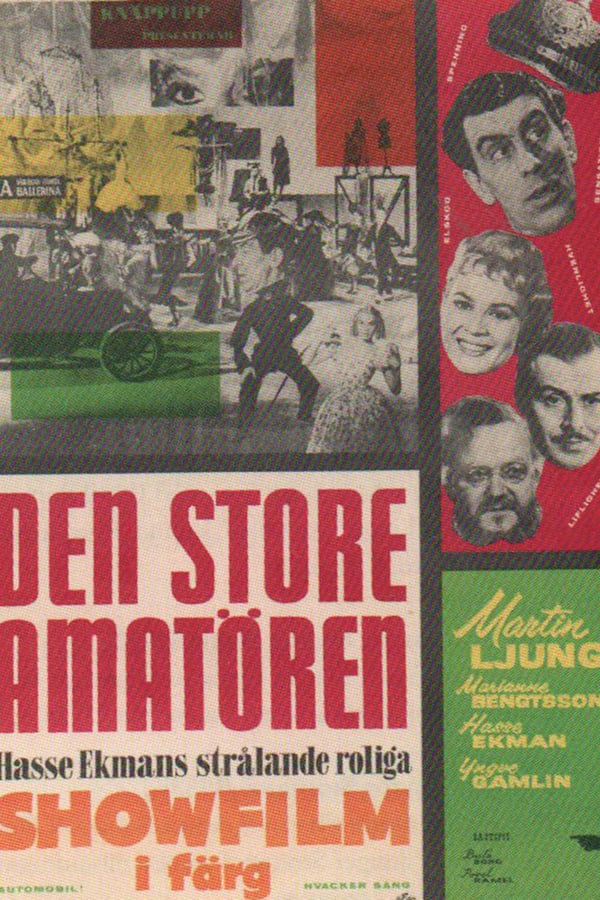 Cover of the movie The Great Amateur