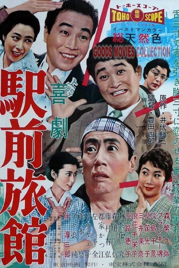 Cover of the movie The Hotelman's Holiday