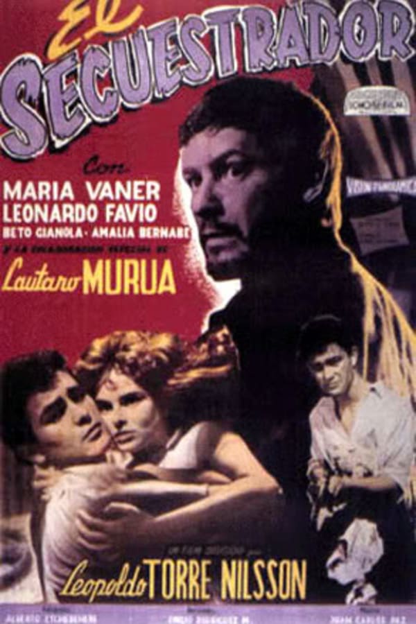 Cover of the movie The Kidnapper