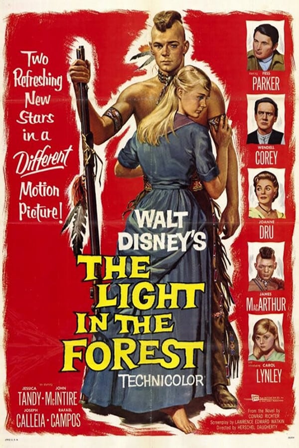 Cover of the movie The Light in the Forest