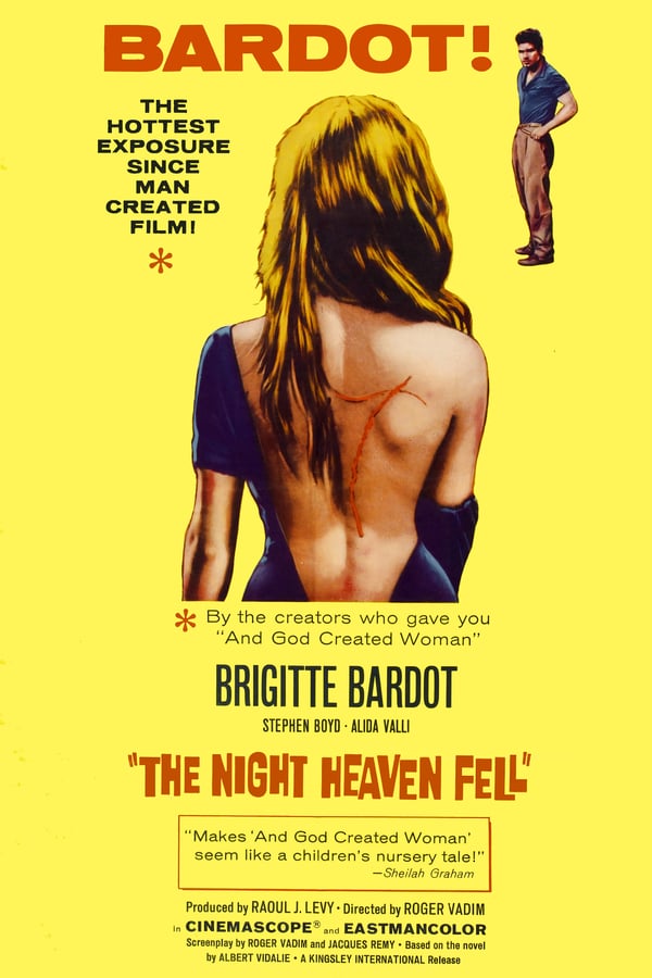 Cover of the movie The Night Heaven Fell